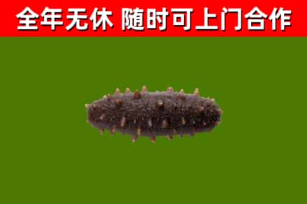 德令哈烟酒回收干海参.jpg